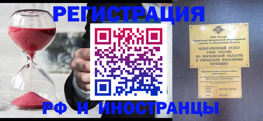 пропишу в квартире в Павловском Посаде